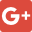 Google+ icon